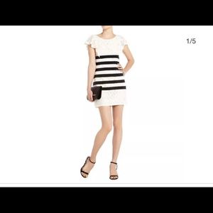 BCBG maxazria Renata lace dress sz6